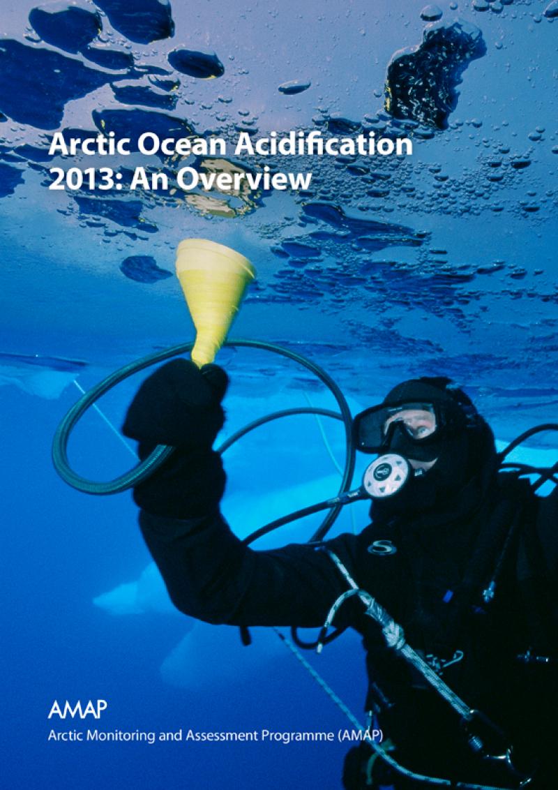Arctic Ocean Acidification 2013: An Overview