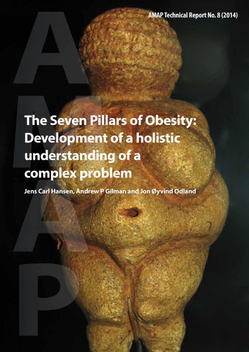 The Seven Pillars of Obesity: Development of a holistic understanding of a complex problem