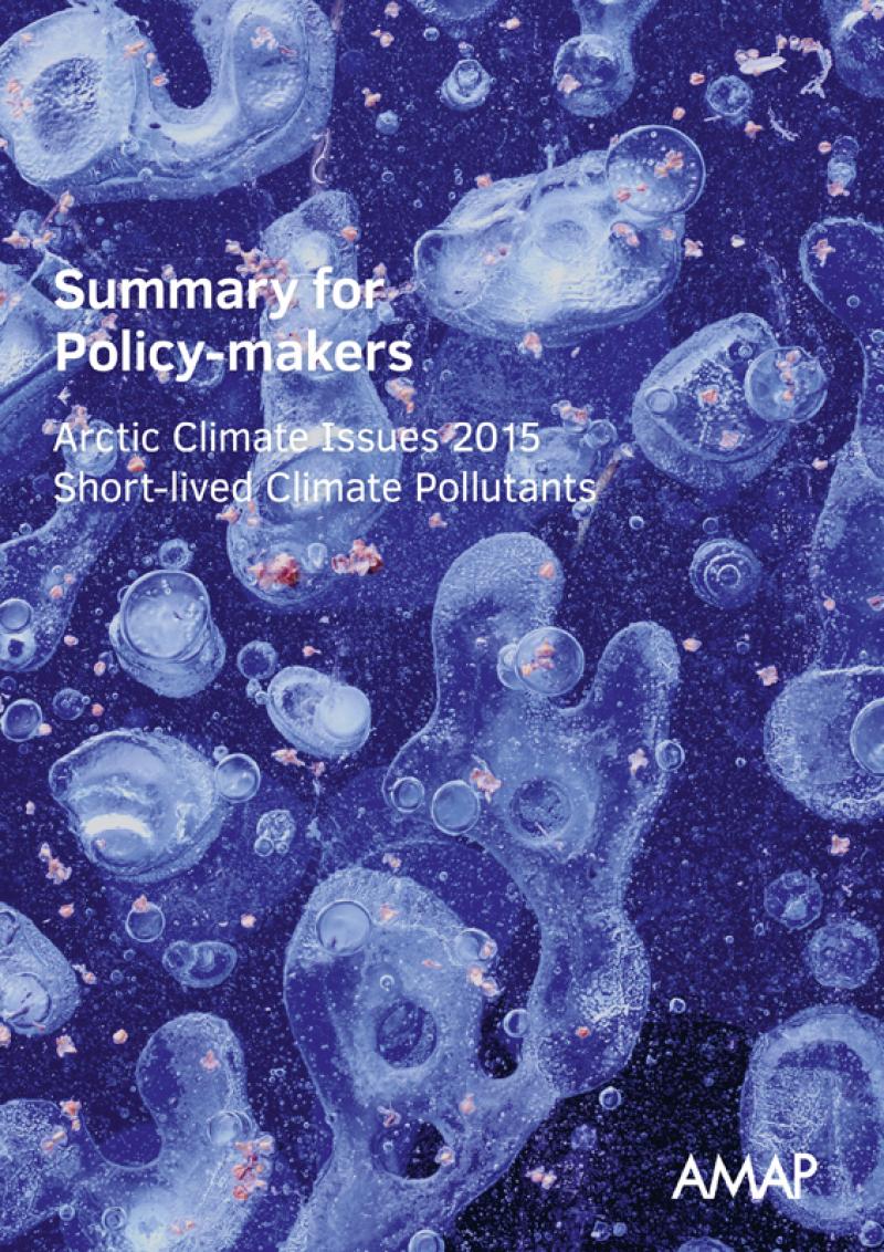 Summary for Policy-makers: Arctic Climate Issues 2015