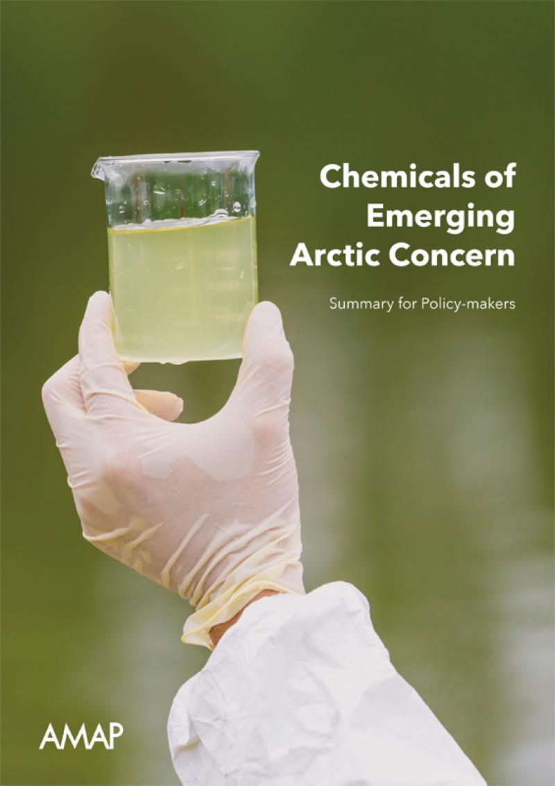 Chemicals of Emerging Arctic Concern. Summary for Policy-makers
