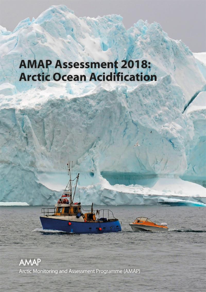 AMAP Assessment 2018: Arctic Ocean Acidification