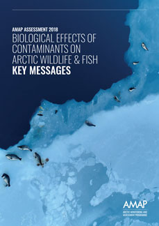 Biological Effects of Contaminants on Arctic Wildlife and Fish. Key Messages