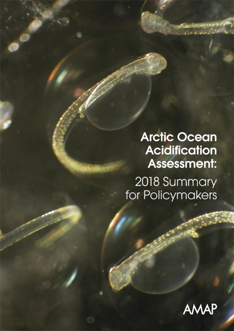 Arctic Ocean Acidification Assessment 2018: Summary for Policy-Makers