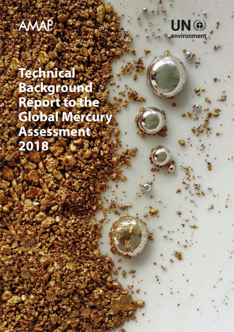 Technical Background Report for the Global Mercury Assessment 2018