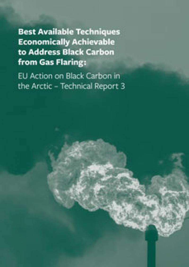Best Available Techniques Economically Achievable to Address Black Carbon from Gas Flaring (available in English & Russian)