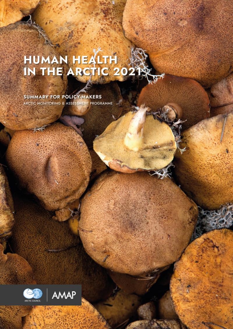 Human Health in the Arctic 2021. Summary for Policy-makers
