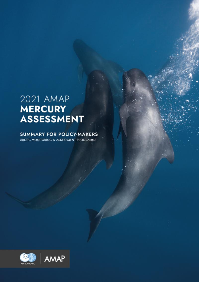 2021 AMAP Mercury Assessment. Summary for Policy-makers