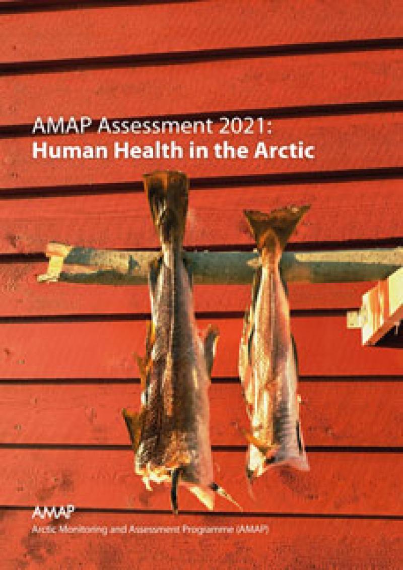 AMAP Assessment 2021: Human Health in the Arctic