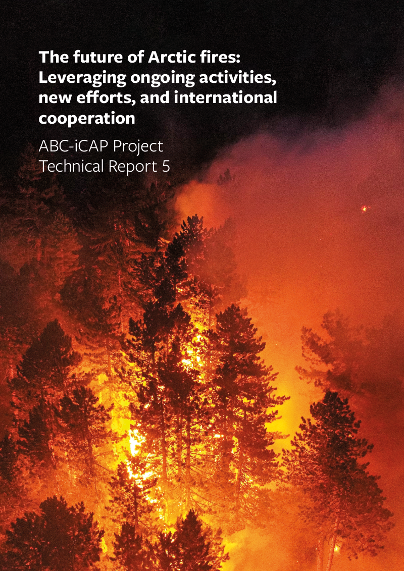 The future of Arctic fires: Leveraging ongoing activities, new efforts, and international cooperation