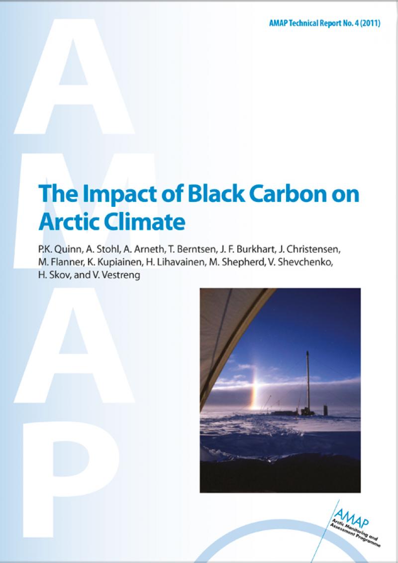 The Impact of Black Carbon on Arctic Climate