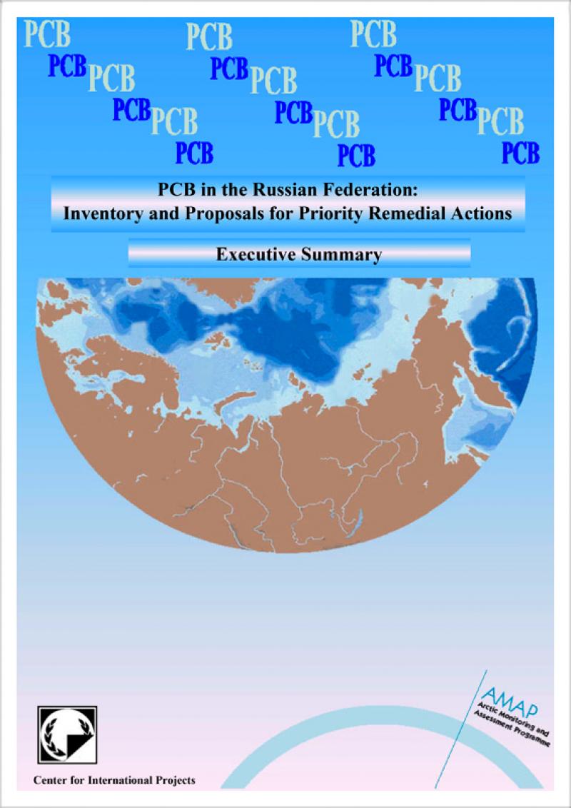 PCB in the Russian Federation: Inventory and Proposals for Priority Remedial Actions