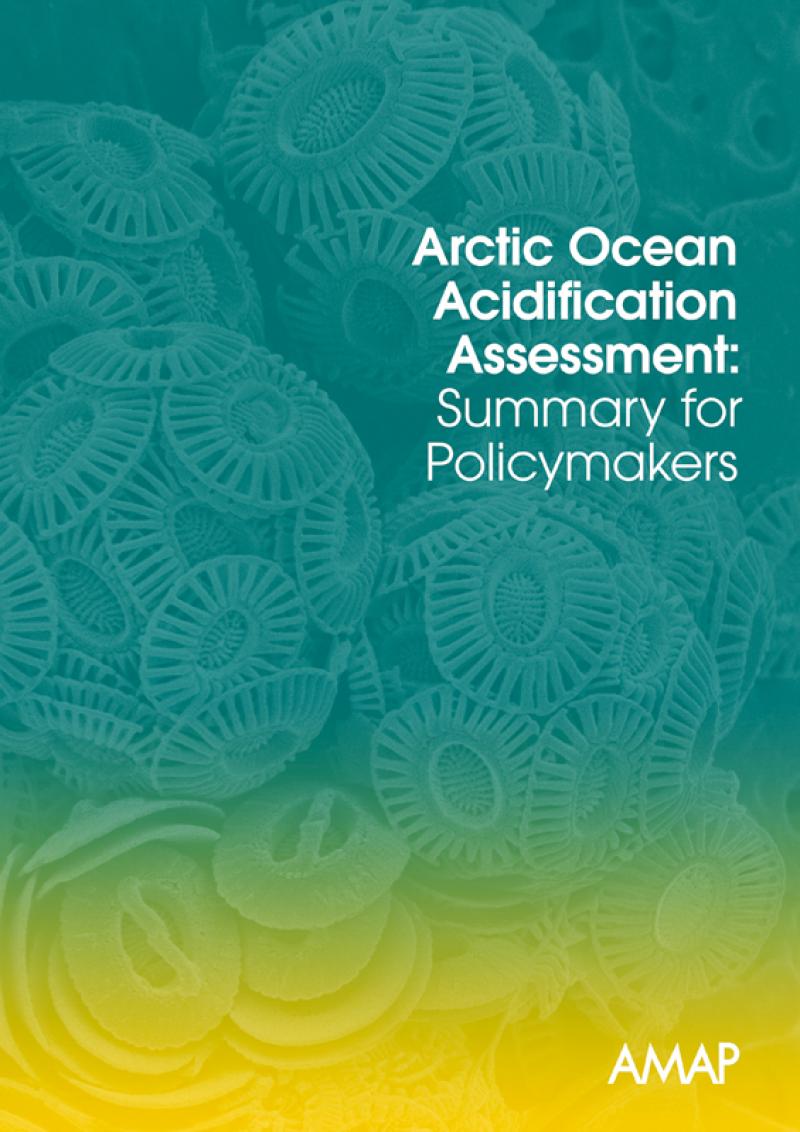 AMAP Arctic Ocean Acidification Assessment: Summary for Policy-makers