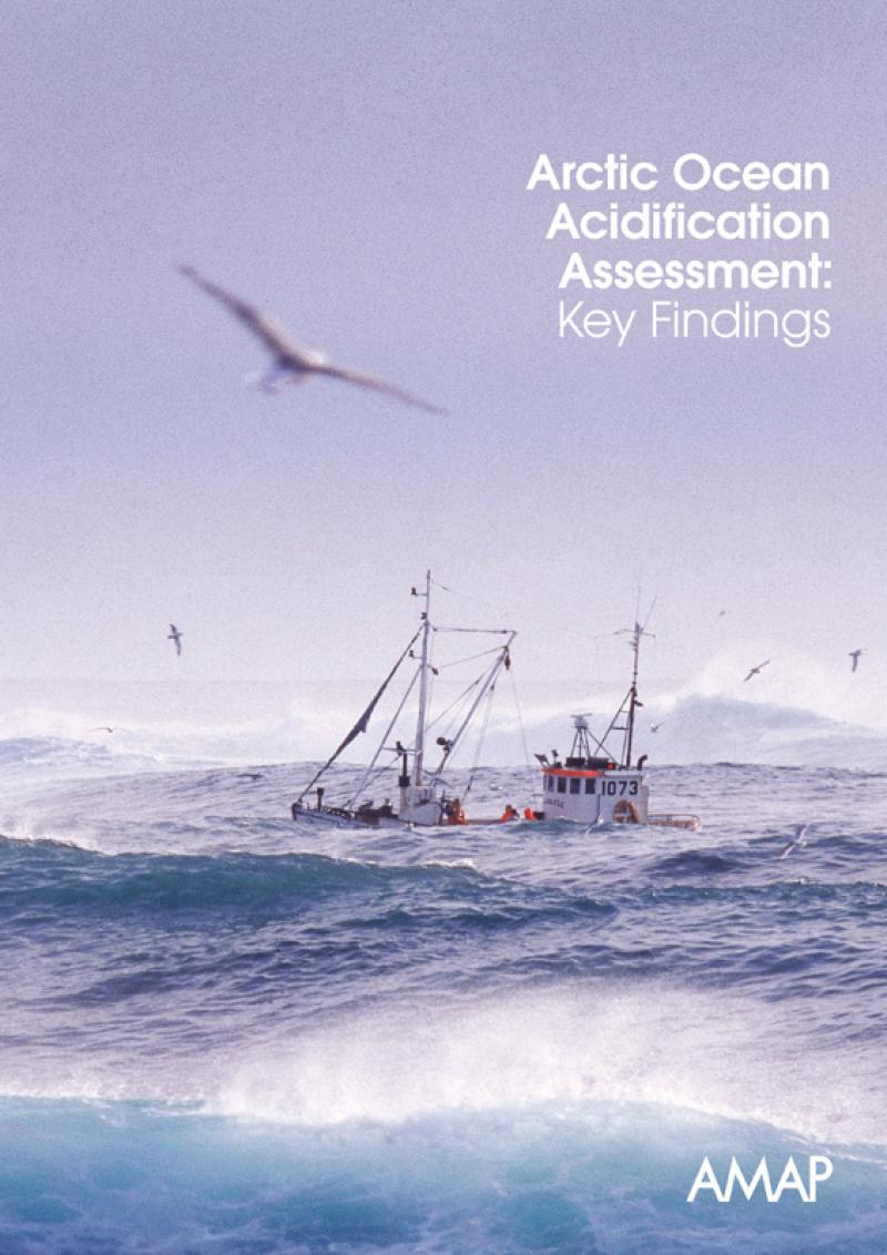AMAP Arctic Ocean Acidification Assessment: Key Findings