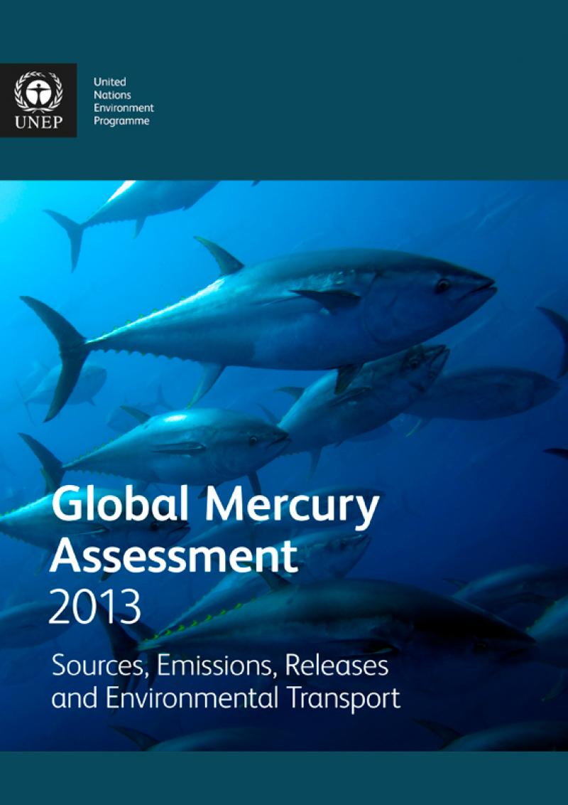 Global Mercury Assessment 2013: Sources, Emissions, Releases and Environmental Transport