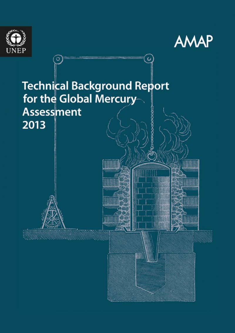 Technical Background Report for the Global Mercury Assessment 2013