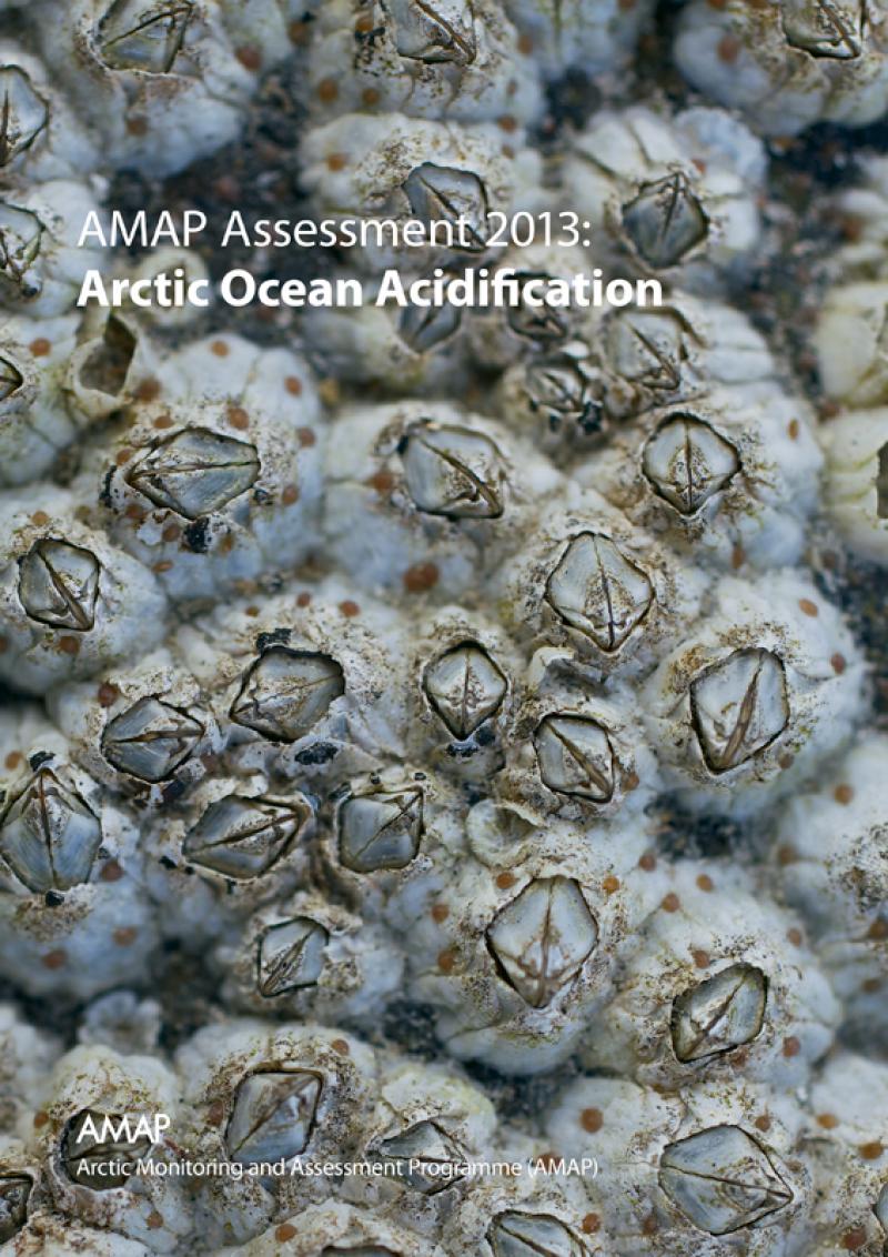 AMAP Assessment 2013: Arctic Ocean Acidification