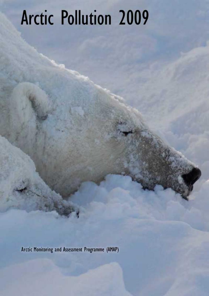 Arctic Pollution 2009