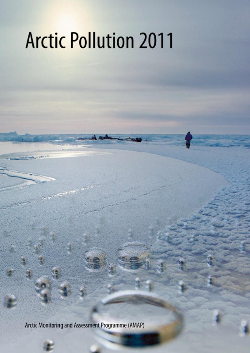 Arctic Pollution 2011 (Mercury)