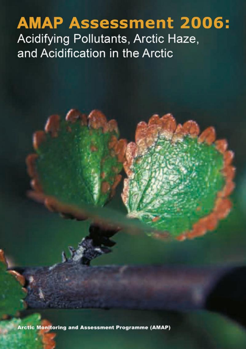 AMAP Assessment 2006: Acidifying Pollutants, Arctic Haze, and Acidification in the Arctic